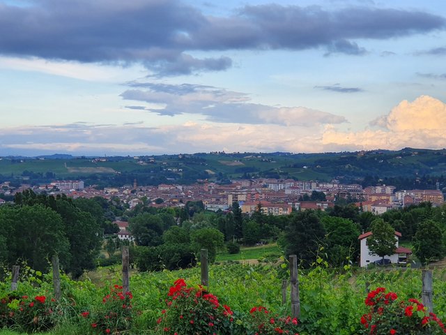 Nizza Monferrato | Camminata di allenamento in tecnica Nordic Walking