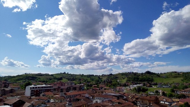 Nizza Monferrato | Camminata Nordic Walking dal lungo Belbo alle colline circostanti​​​​​​​