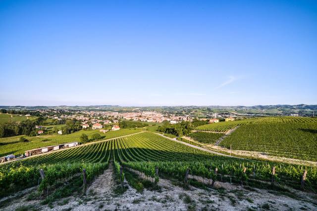 Nizza Monferrato | Camminata Nordic Walking sulle colline del Nizza docg
