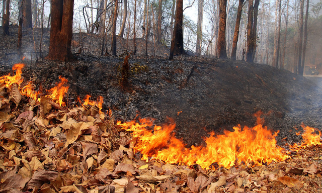 Dichiarazione stato di massima pericolosità per gli incendi boschivi sul territorio Regionale del Piemonte.
